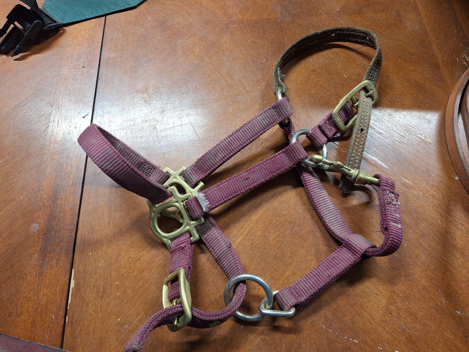 Average Horse size Halters and Misc Lead Ropes