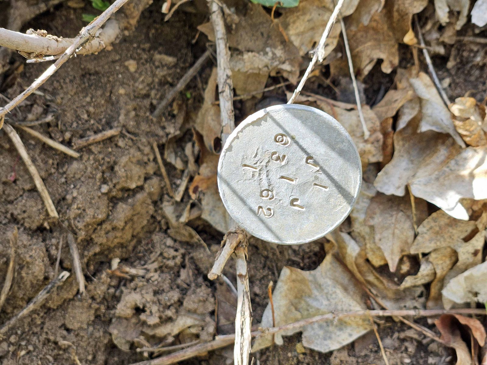 Main image 8