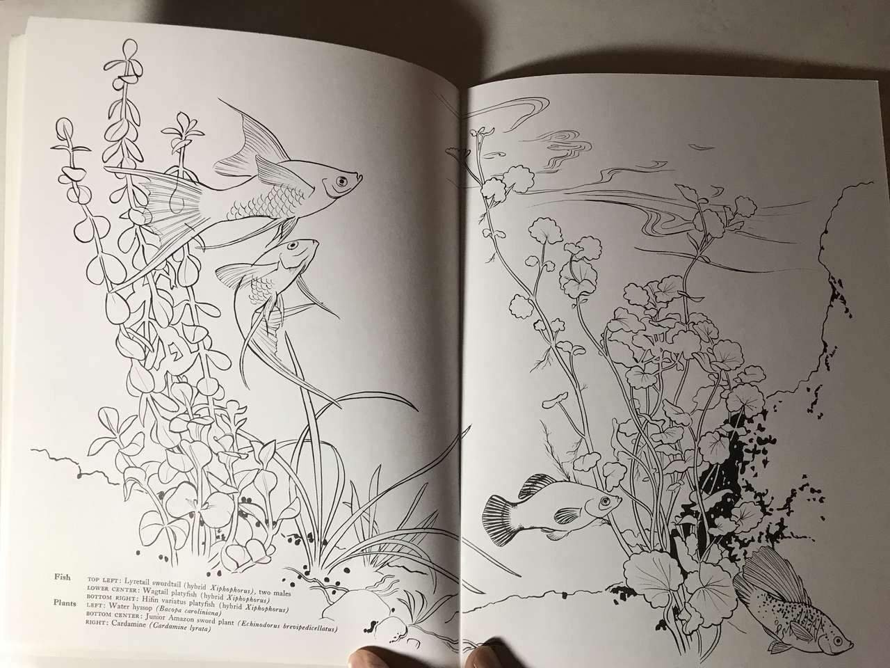 Main image 7