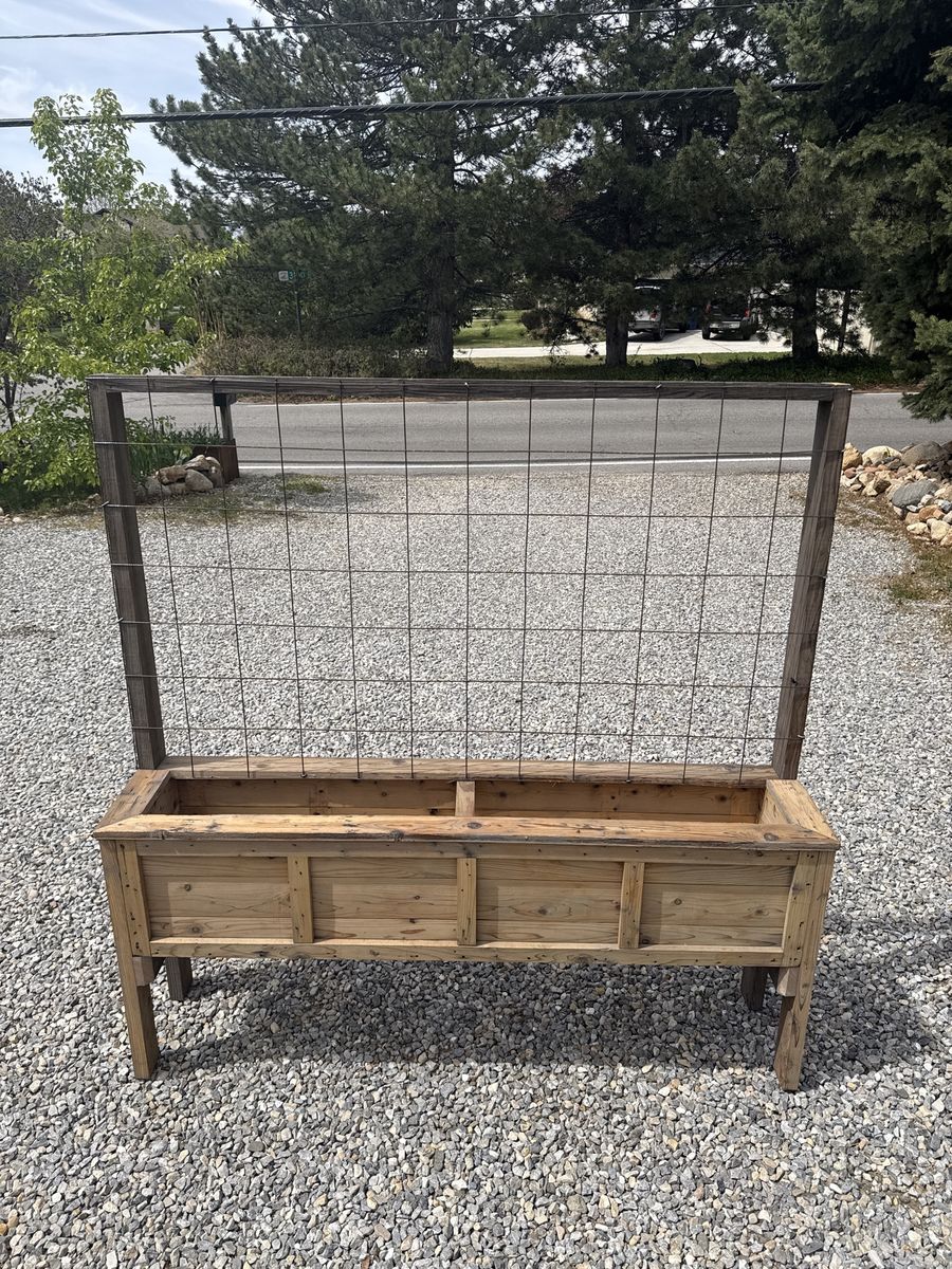 Rustic cedar raised garden bed with trellis