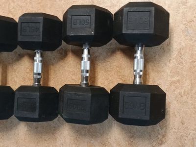 sweet of 45 and 50lb rubber hex dumbbells