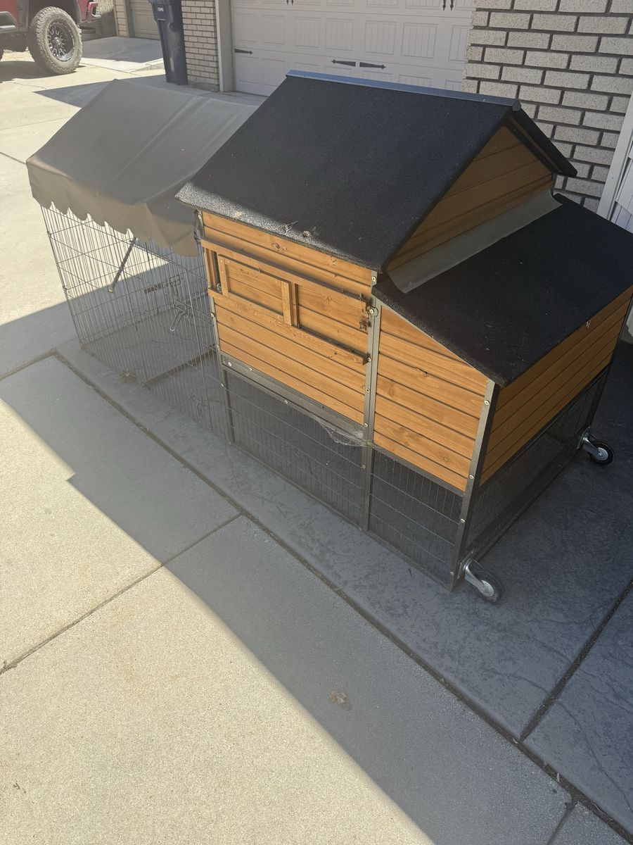 Chicken Coop