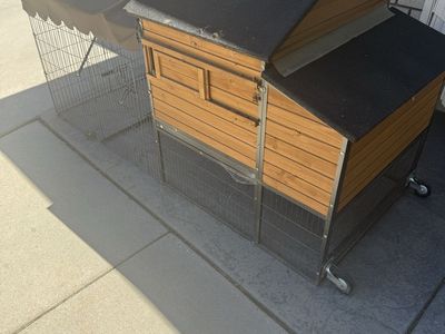 Chicken Coop