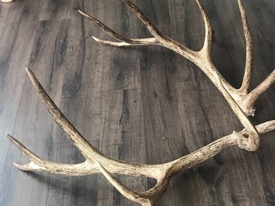Elk Sheds w/ Matching Drops