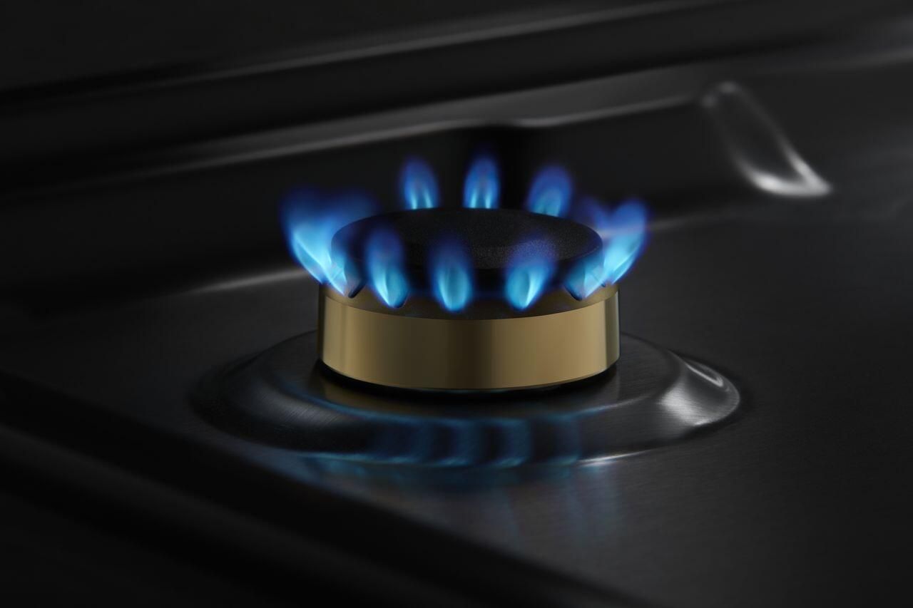 Main image 4