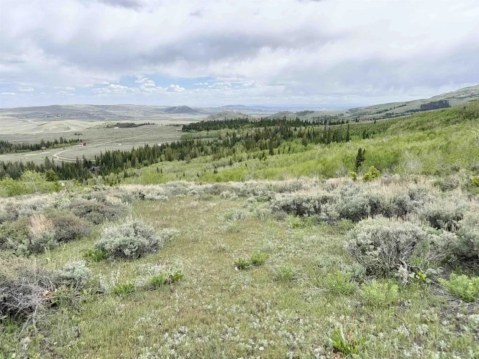 Main image 9