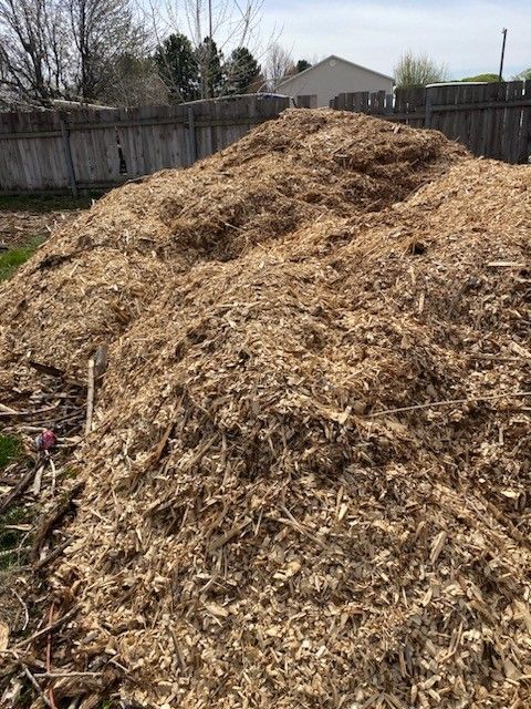 Horse Bedding
