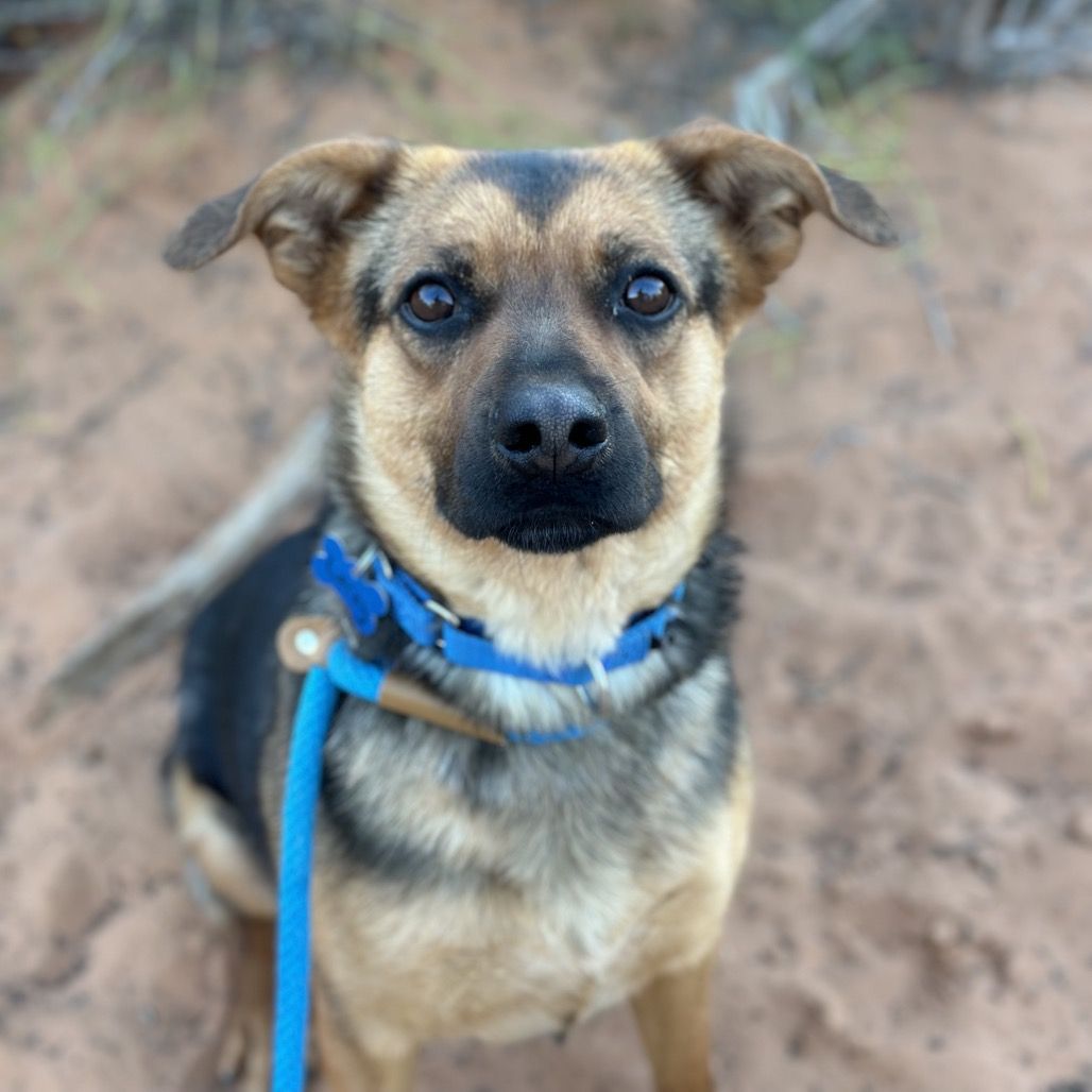 Hello my name is Lacey