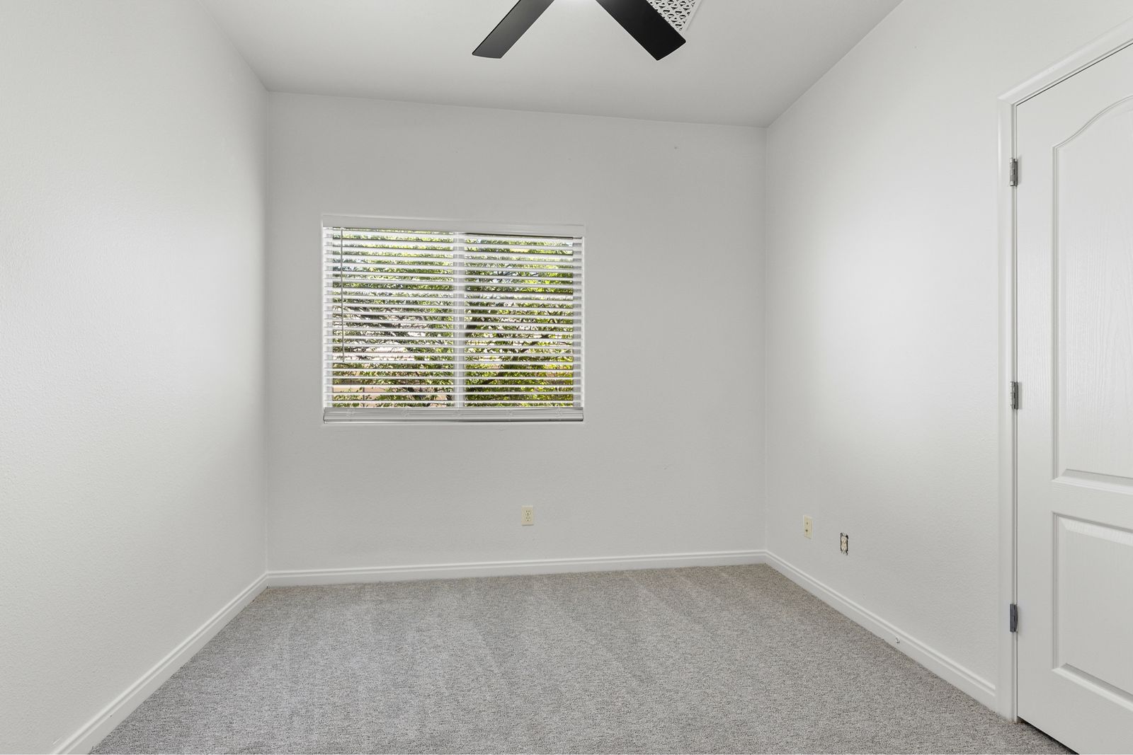 Main image 12