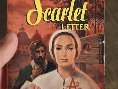 The Scarlet Letter by Nathaniel Hawthorne Paperback Book