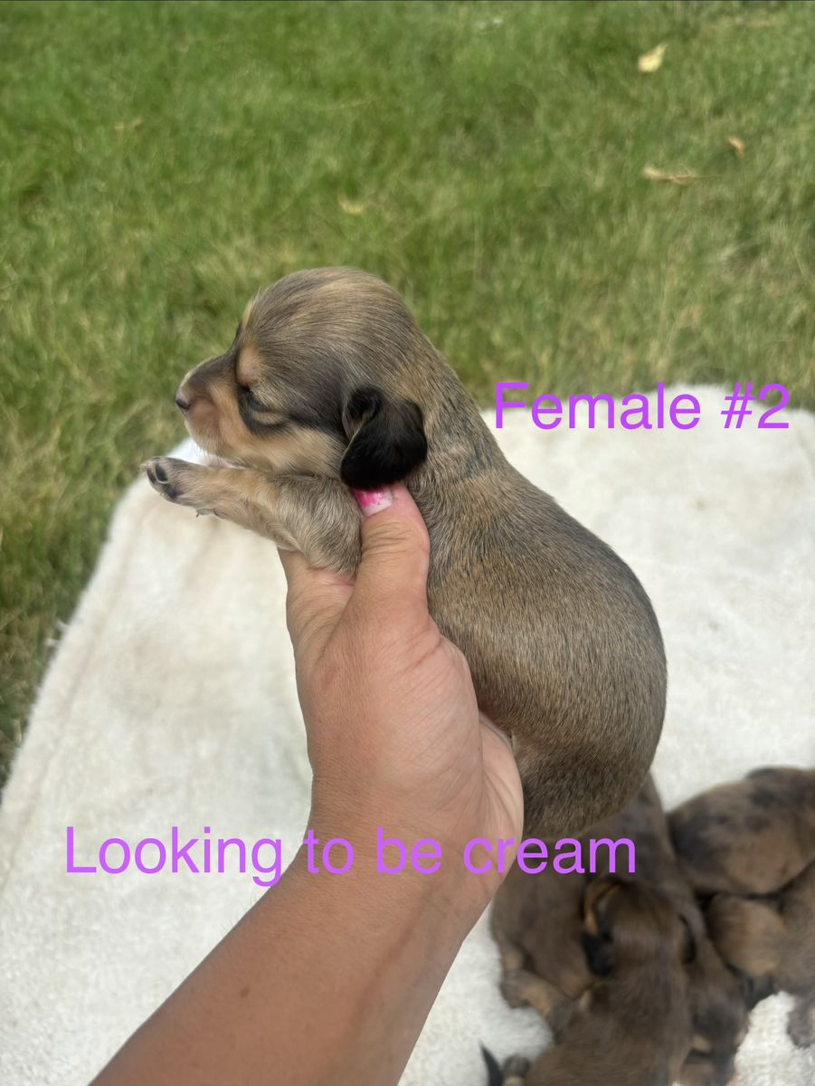 Main image 6