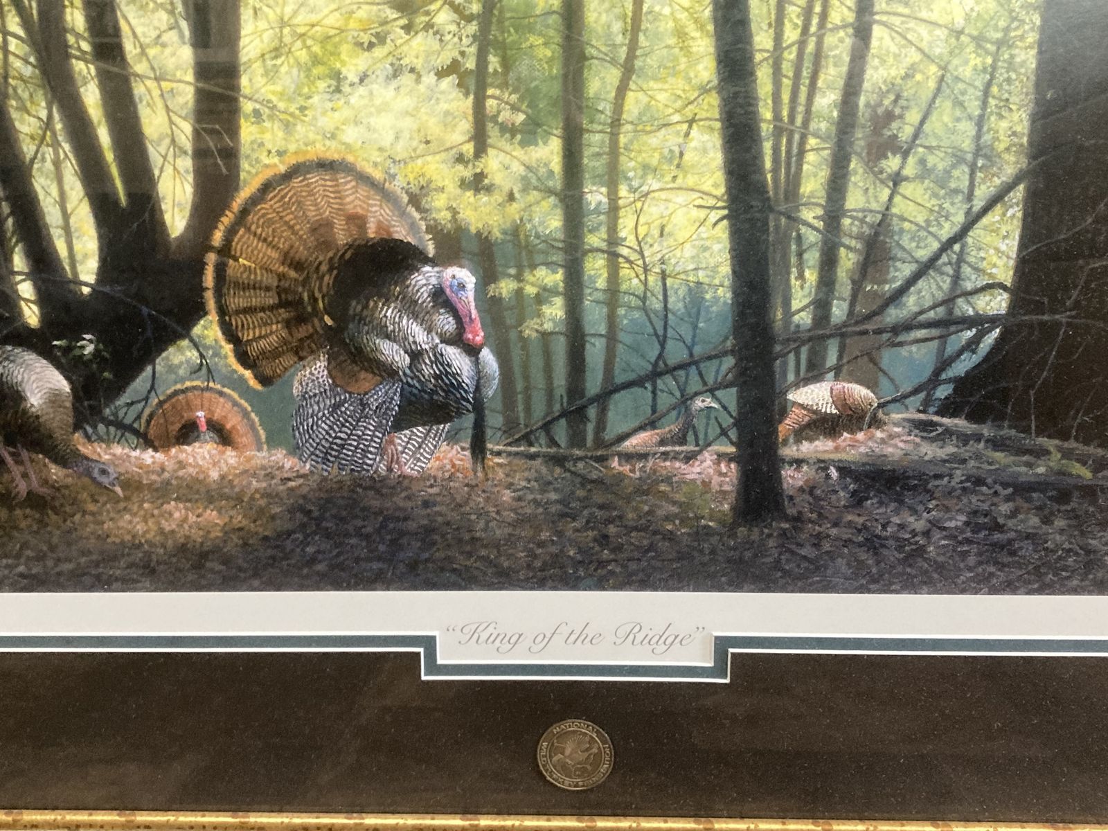 NWTF painting