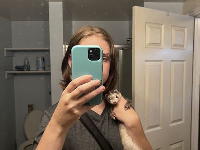Pet Ferret - Friendly Domestic
