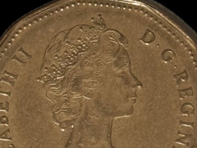 Canada Loonie Dollar Coin Canadian Loon Queen Elizabeth Duck Back