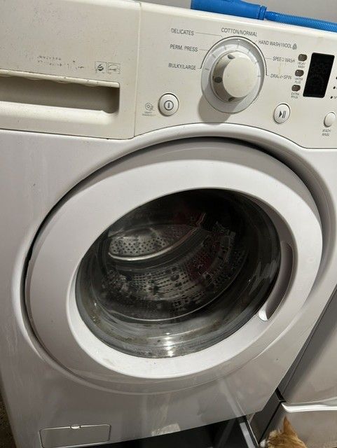 Main image 5