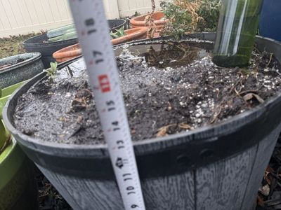 Large 13 Tall Planter Pot