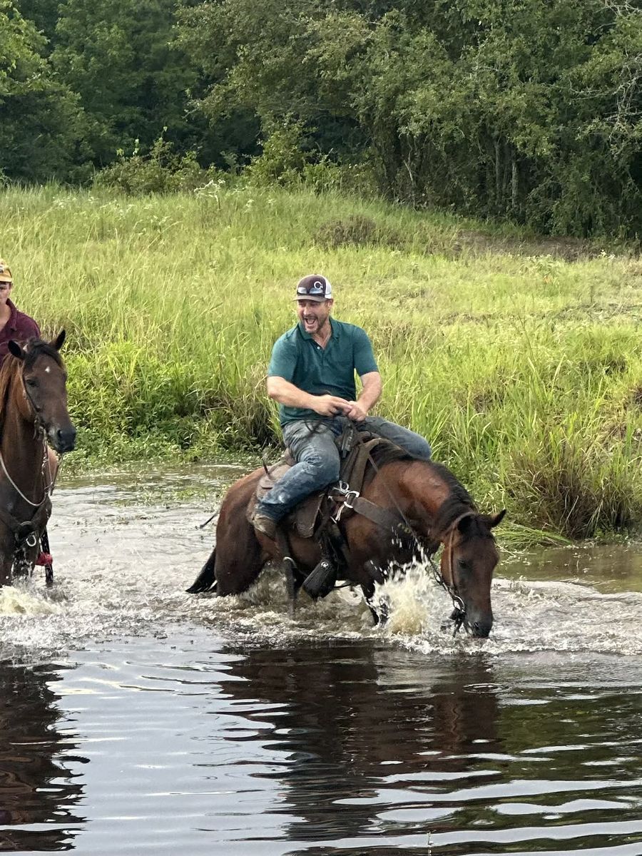 Well-Trained Quarter Horse Mare Experienced in Roping and Trail Riding