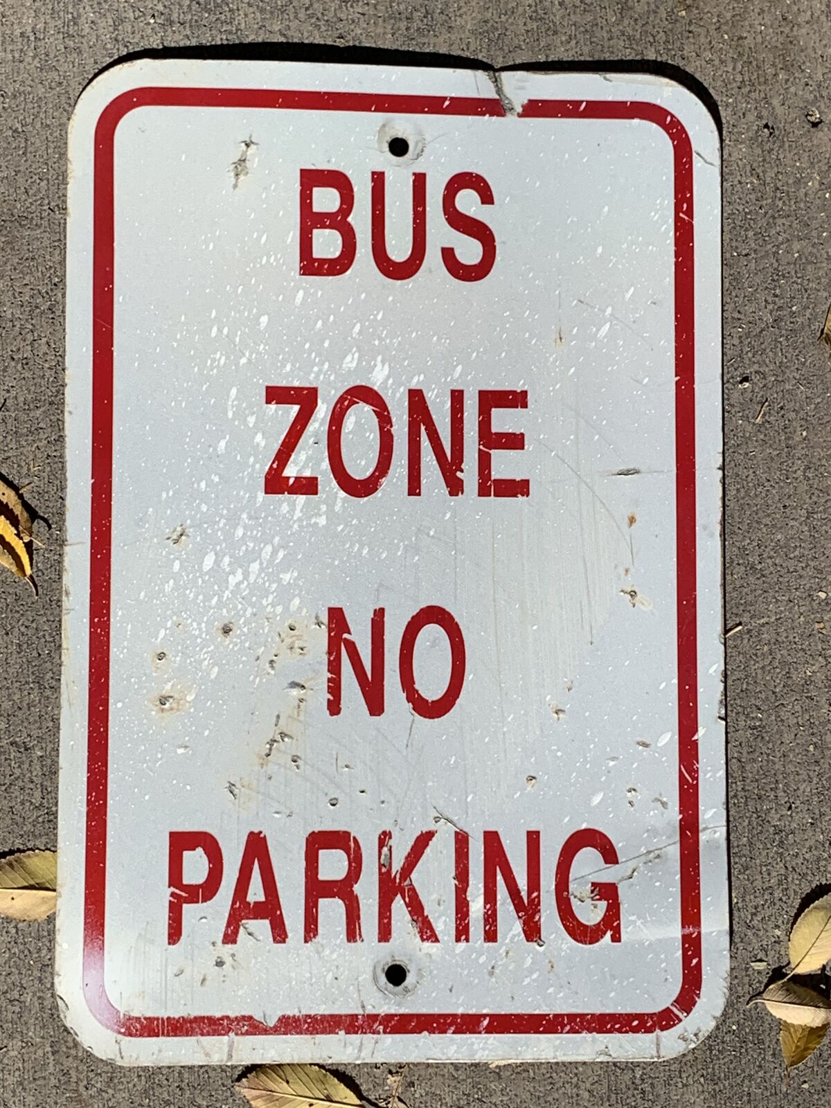 Vintage School Bus No Parking Zone Sign