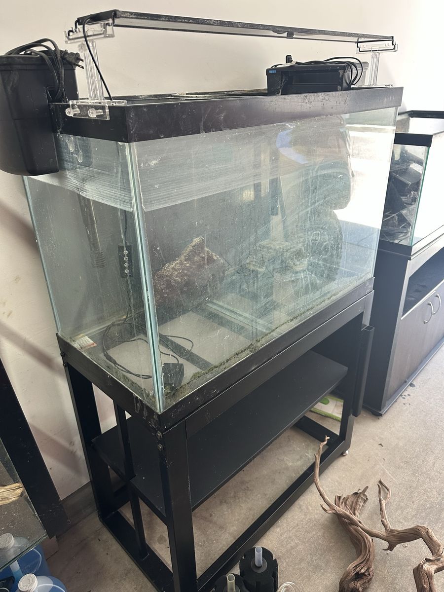 65 gallons Fish Tank with the stand  with all accessories