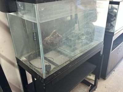 65 gallons Fish Tank with the stand with all accessories