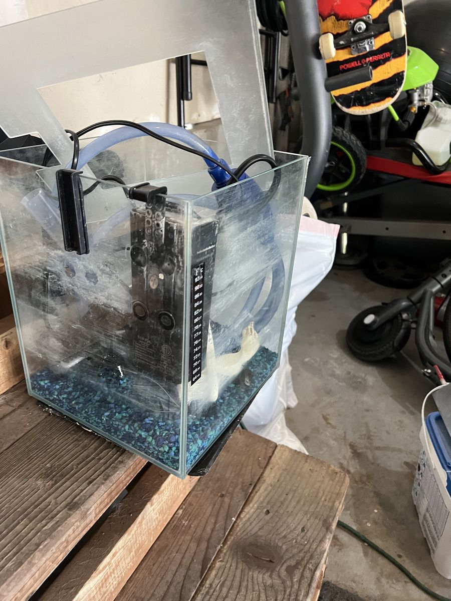 Compact Glass Fish Tank Aquarium with Filter and Blue Gravel - Used Condition