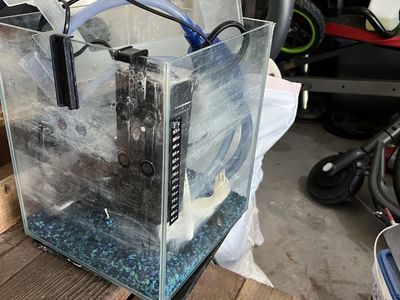 Compact Glass Fish Tank Aquarium with Filter and Blue Gravel - Used Condition