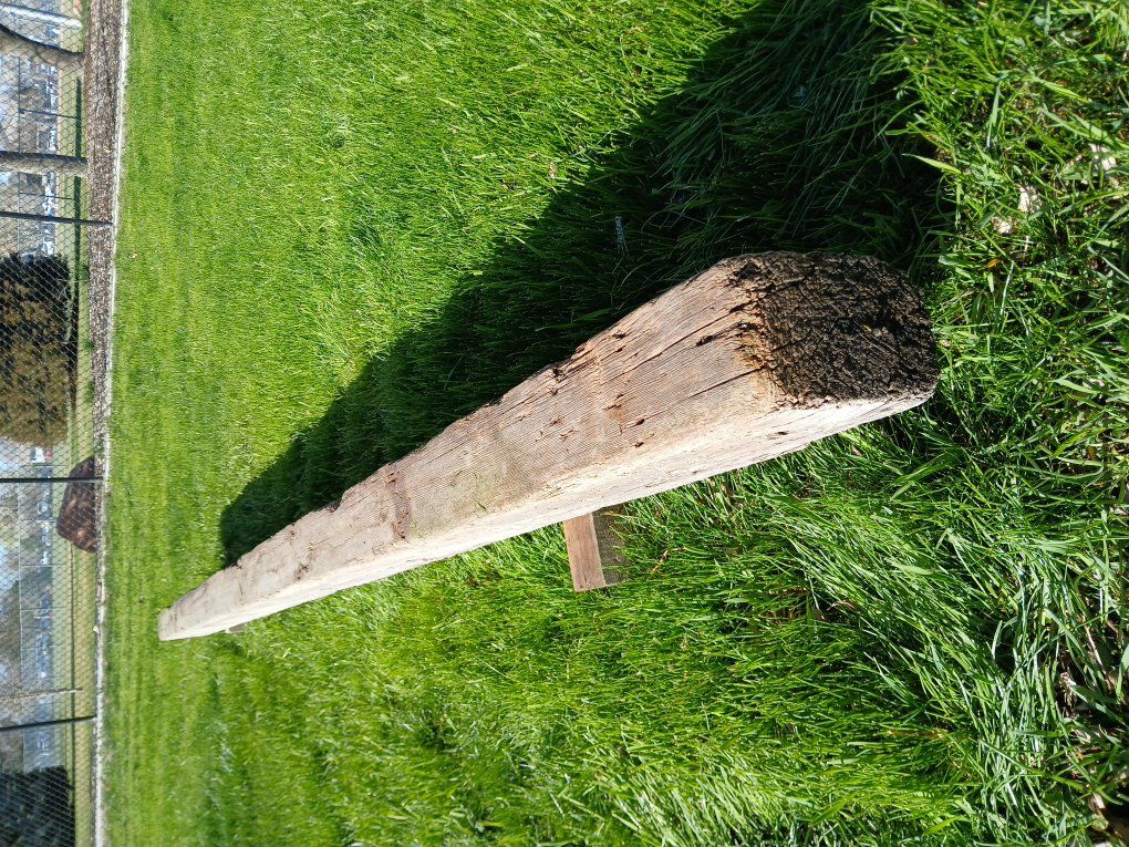 Antique Barn Beam