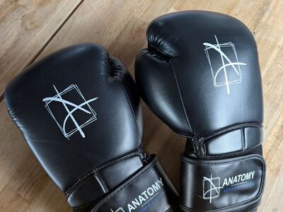 Boxing Gloves and wraps - Never Used