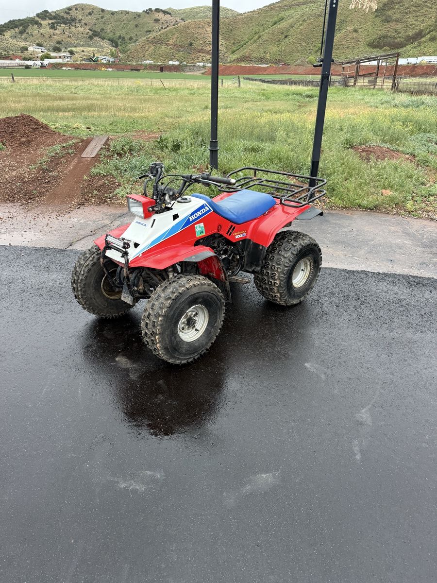 trx200 sx