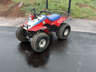 trx200 sx
