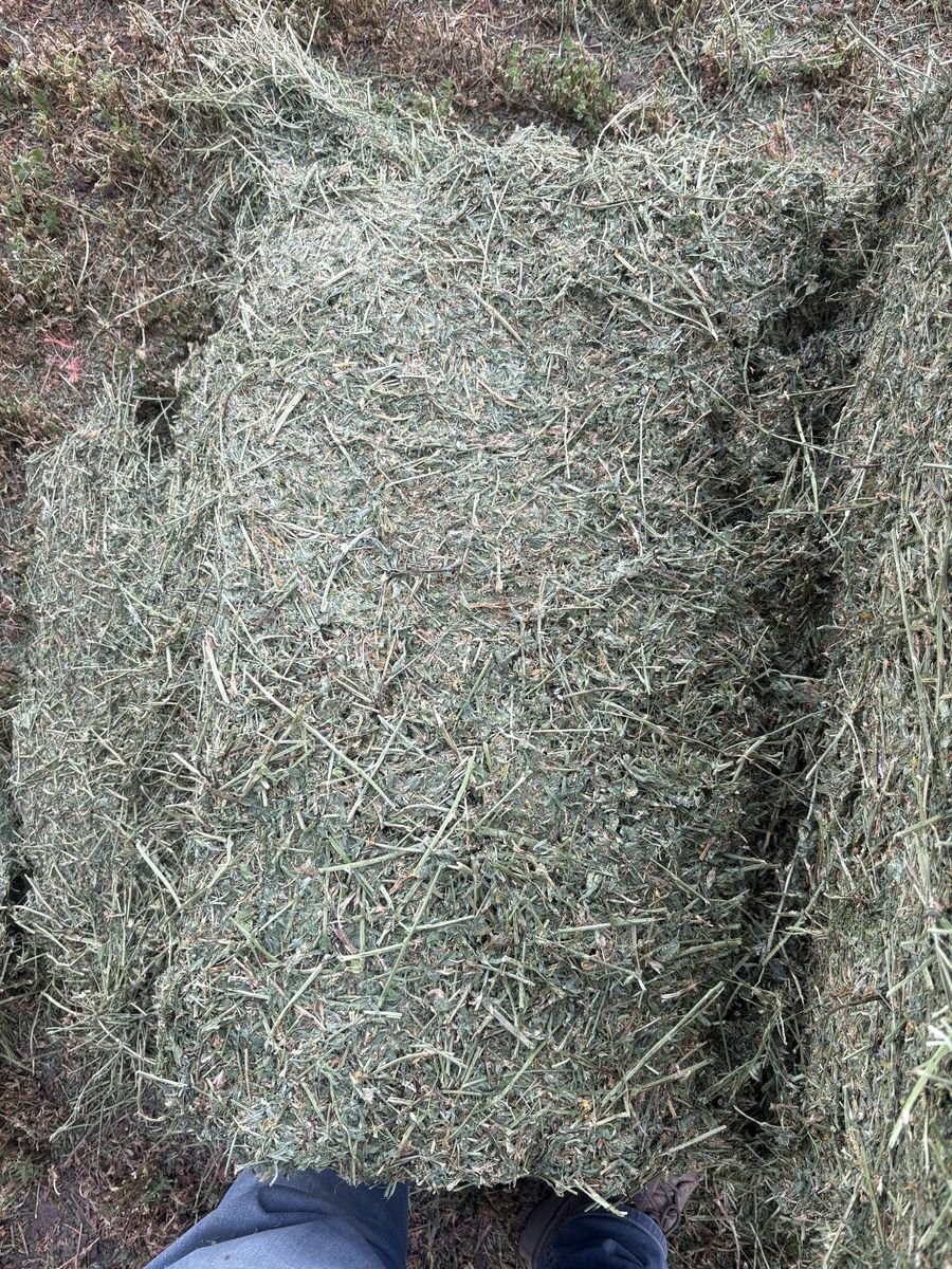 Main image 2