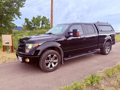 2014 Ford F-150 FX4