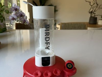 Birdfy Smart Hummingbird Feeder with Camera - AI Recognition, WiFi