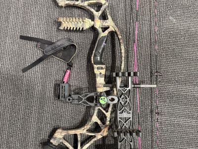 Hoyt Vixen Compound RH Bow