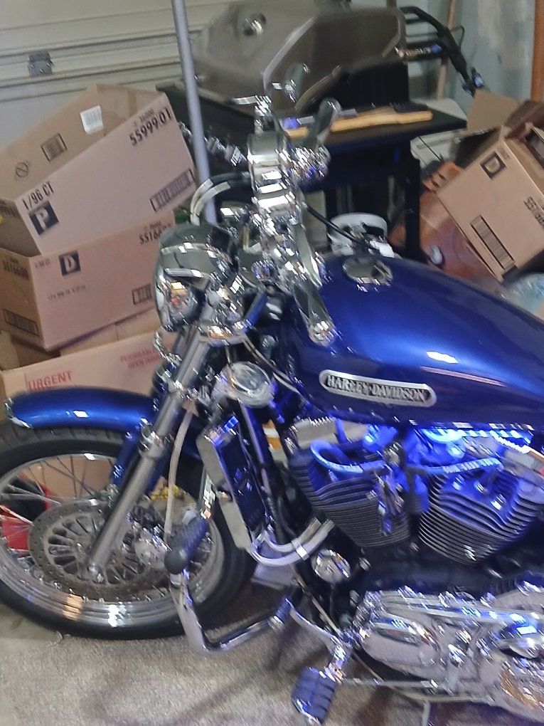 Harley-Davidson Sportster 1200 Custom Motorcycle with LED Underglow and Saddlebags
