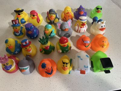 Lot of 24 Assorted Novelty Rubber Duck Bath Toys - Collection for Kids & Collectors