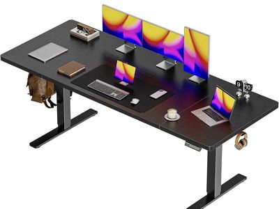 Brand New Large Electric Standing Desk