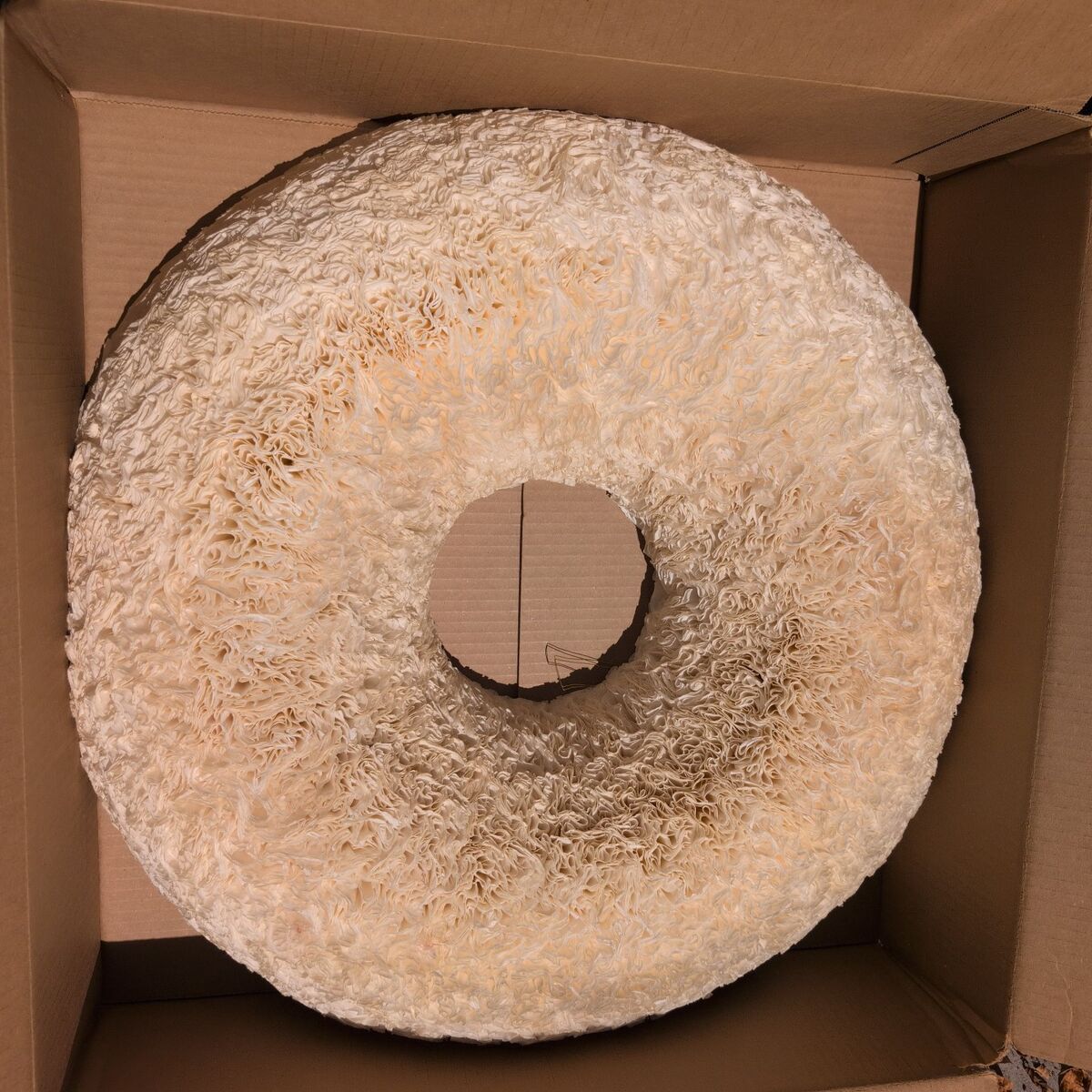 coffee filter wreath