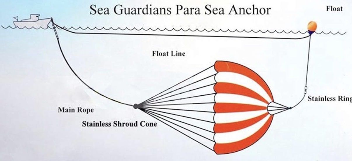 Main image 7