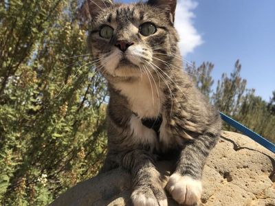 Hello my name is Bruce