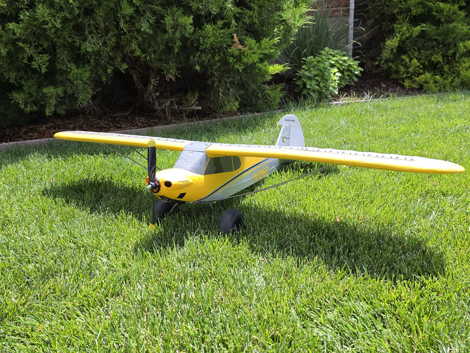 HobbyZone Carbon Cub
