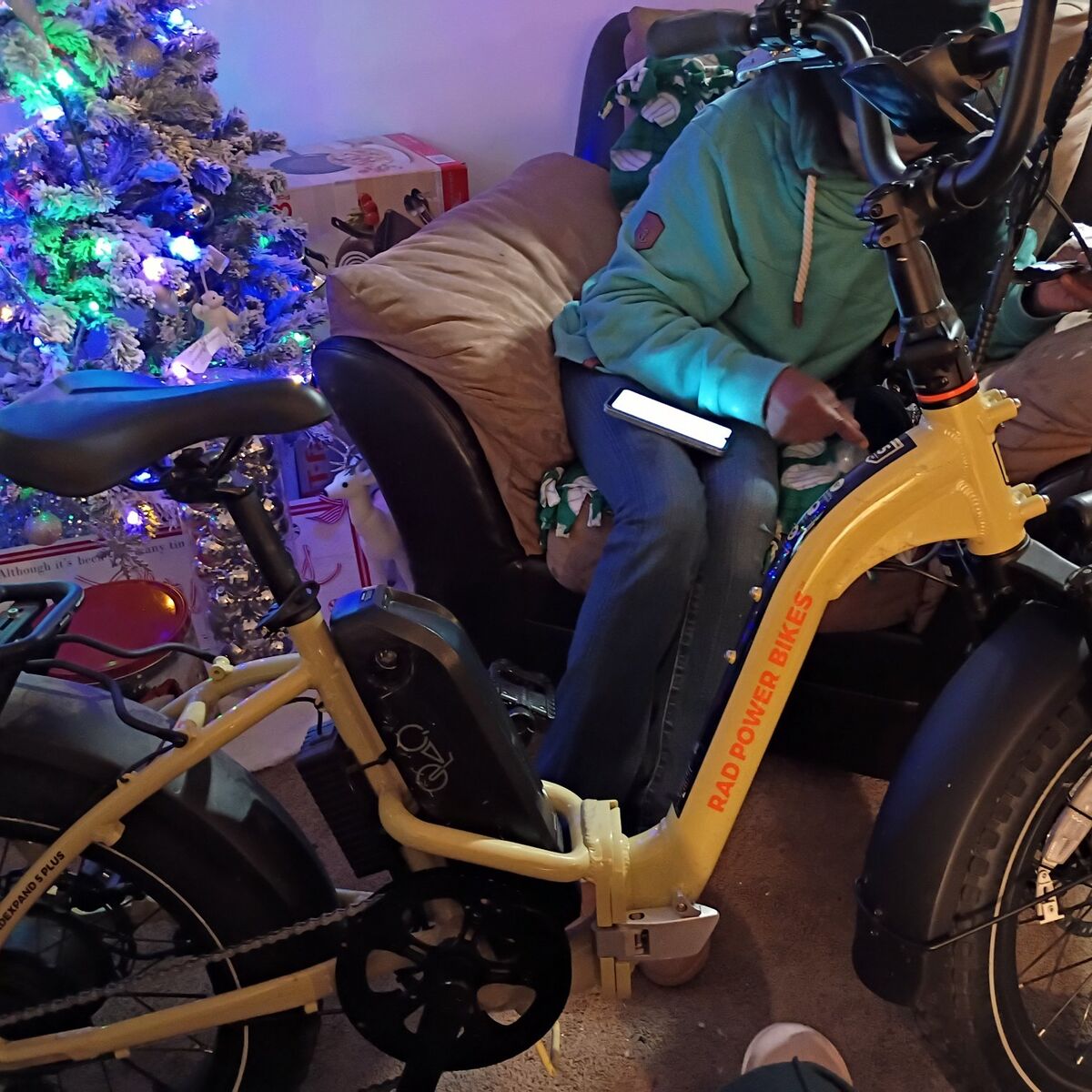 Rad Electric bike