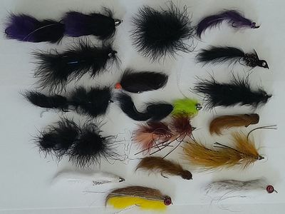 Assorted Fly Fishing Streamers and Leech Flies Lot with Plastic Tackle Box