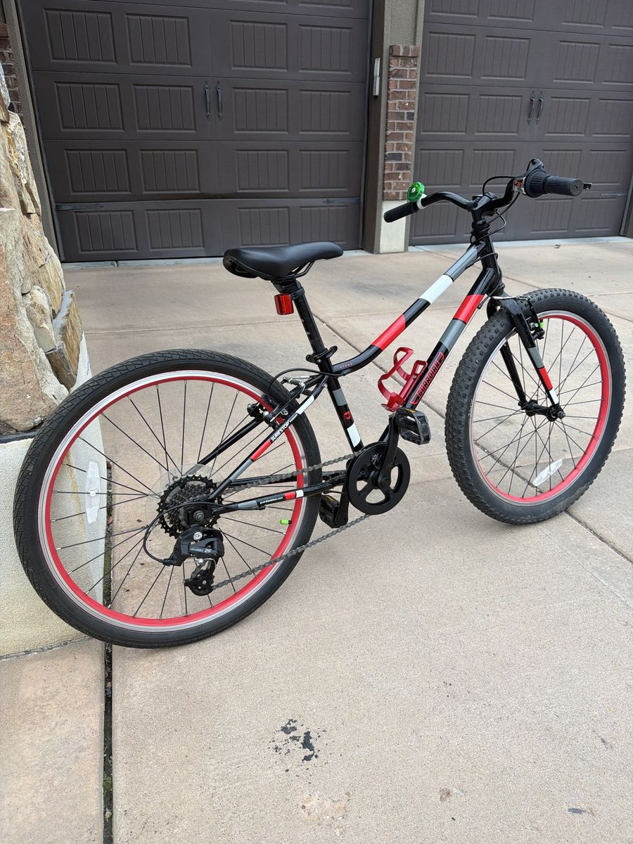 Guardian Bike 24”
