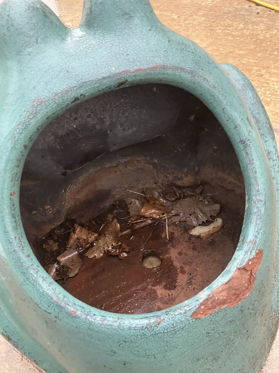 Main image 3