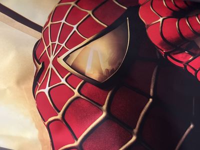 Rare Marvel spider-Man silk screen