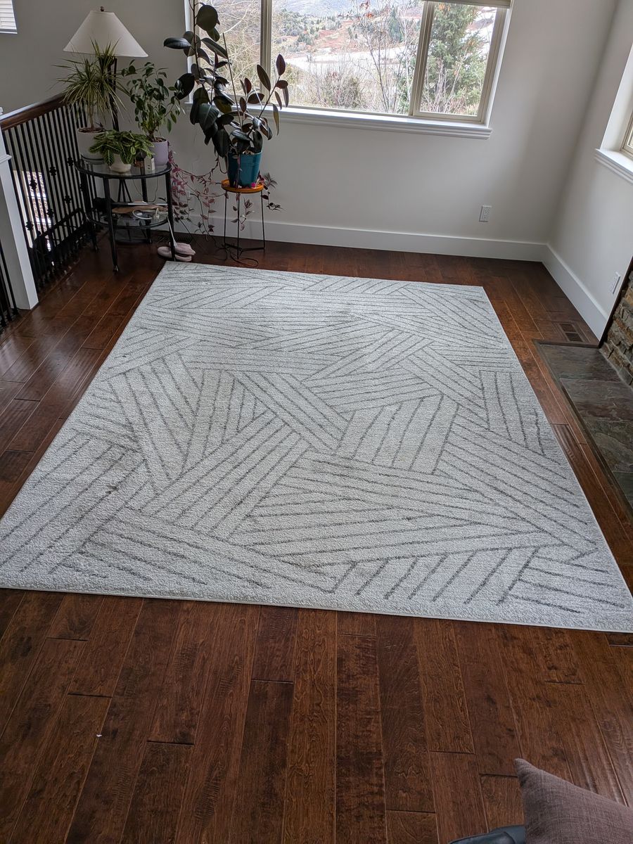 Area Rug