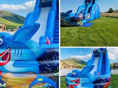 Shark-Themed Inflatable Water Slide - Great for Parties & Events