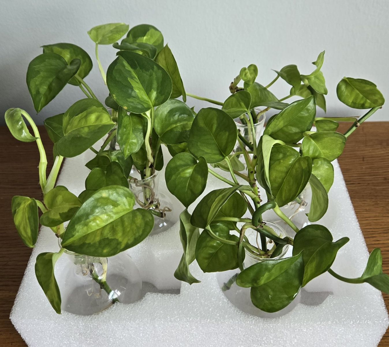 Main image 5
