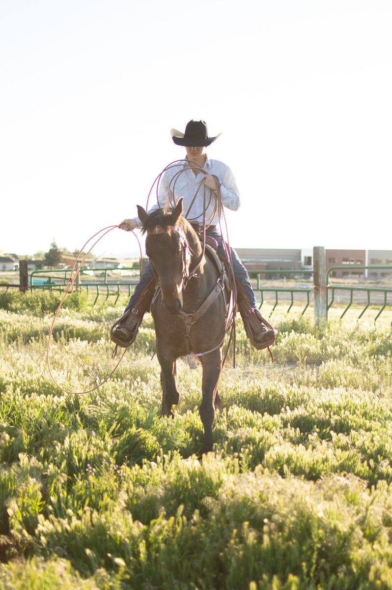 Horse trainer